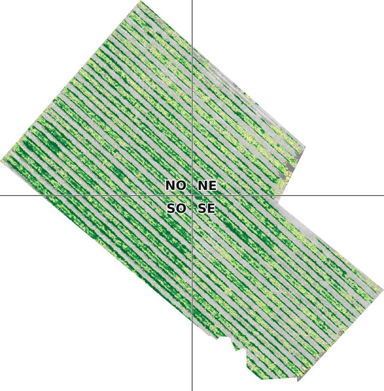 La même parcelle vue par l'indice NDVI
