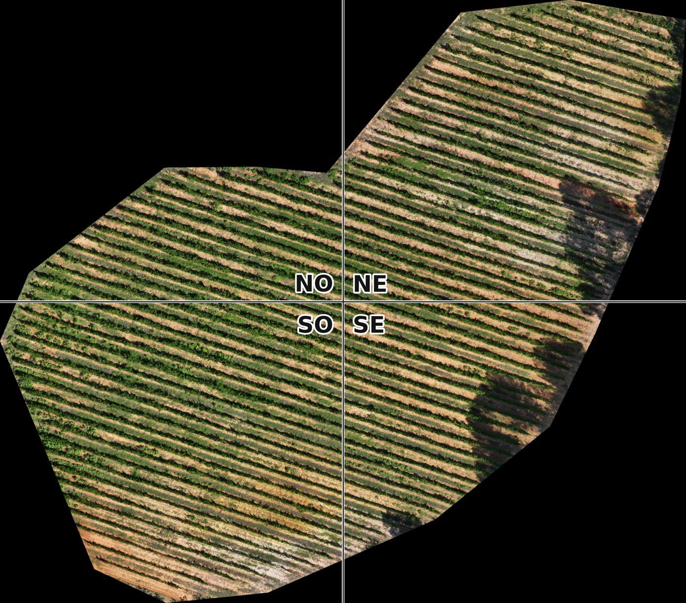Photo de la parcelle vue du ciel, rien ne ressort à l'œil